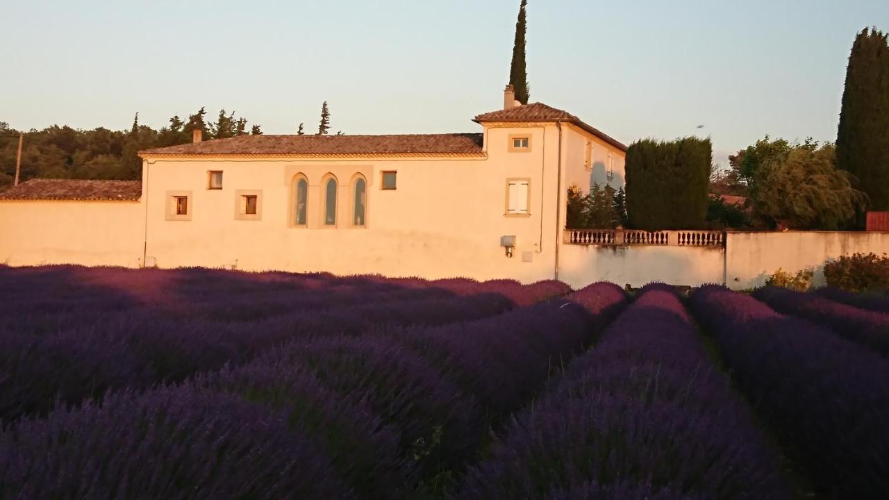 Le Mas Des Sorcieres - Maison D'Hotes Valréas Exterior photo